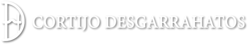 LogoHeader-1.png